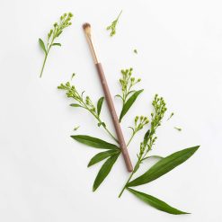 Alternative view of CLAVIER - PENNELLO DR. UNDERCOVER - 12S