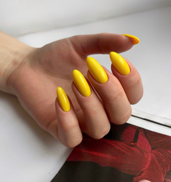 KODI - COLOR GEL - JL n.02 - 7ml (JUNGLE) - immagine 2